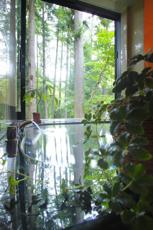 Hakubagoryu Pension&Logcottage Arumu Экстерьер фото